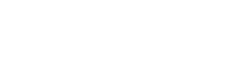 Mahalle POS